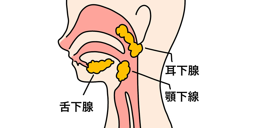 唾石ができやすいところは?